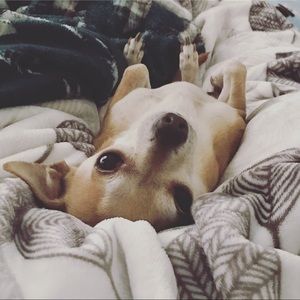 Meet your Posher, Kristina